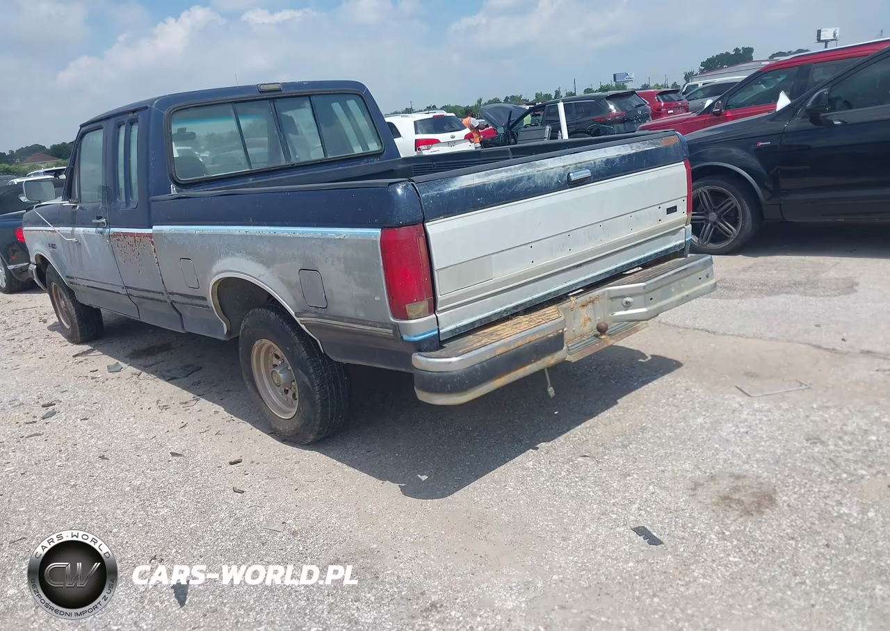 1991 Ford F150 VIN:1FTEX15N3MKB01099 - 3