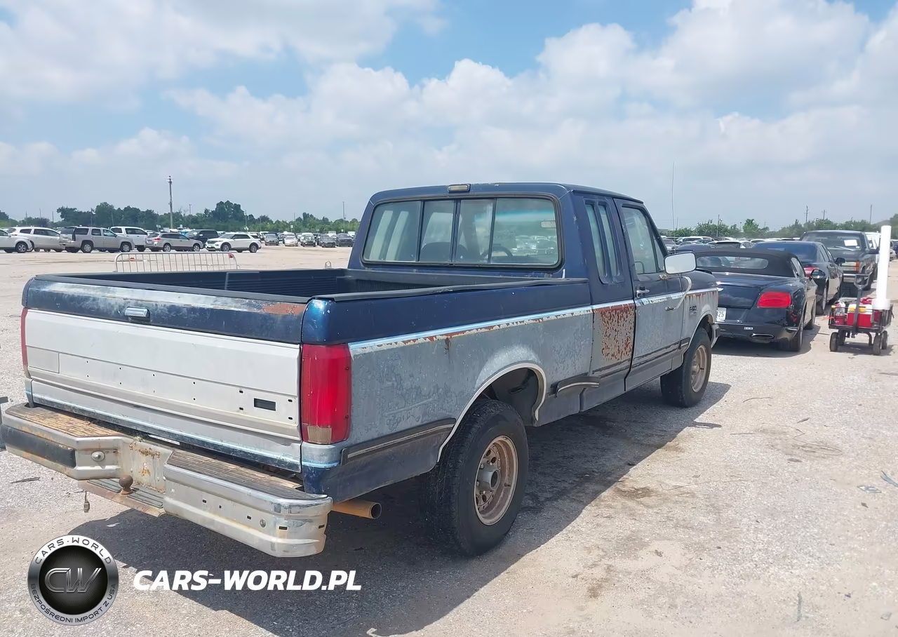 1991 Ford F150 VIN:1FTEX15N3MKB01099 - 4