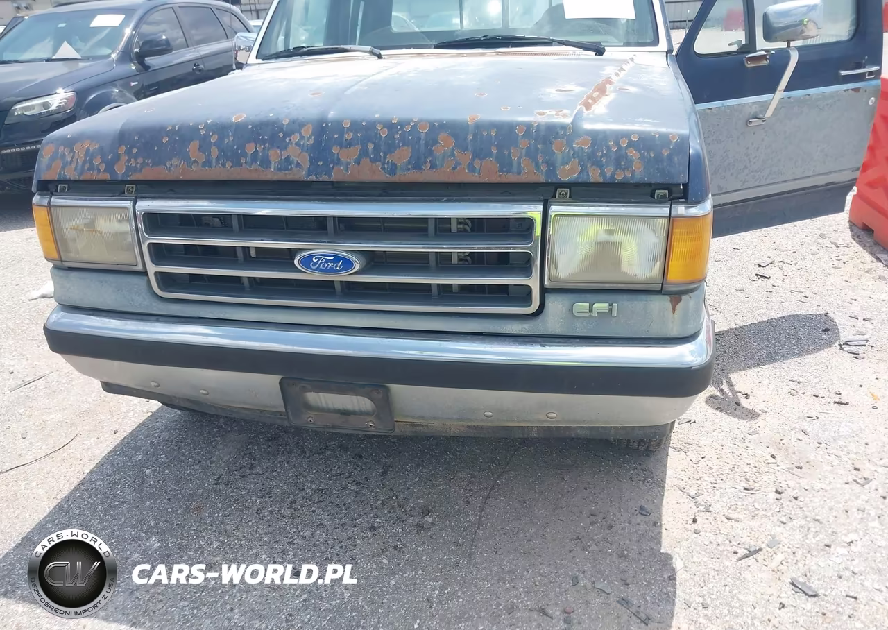 1991 Ford F150 VIN:1FTEX15N3MKB01099 - 6
