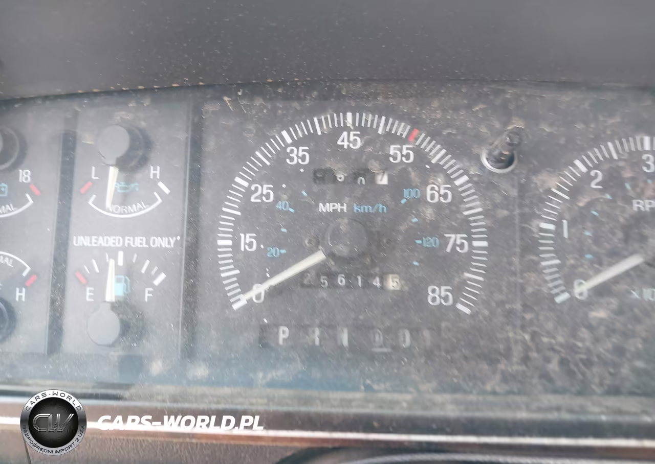 1991 Ford F150 VIN:1FTEX15N3MKB01099 - 7