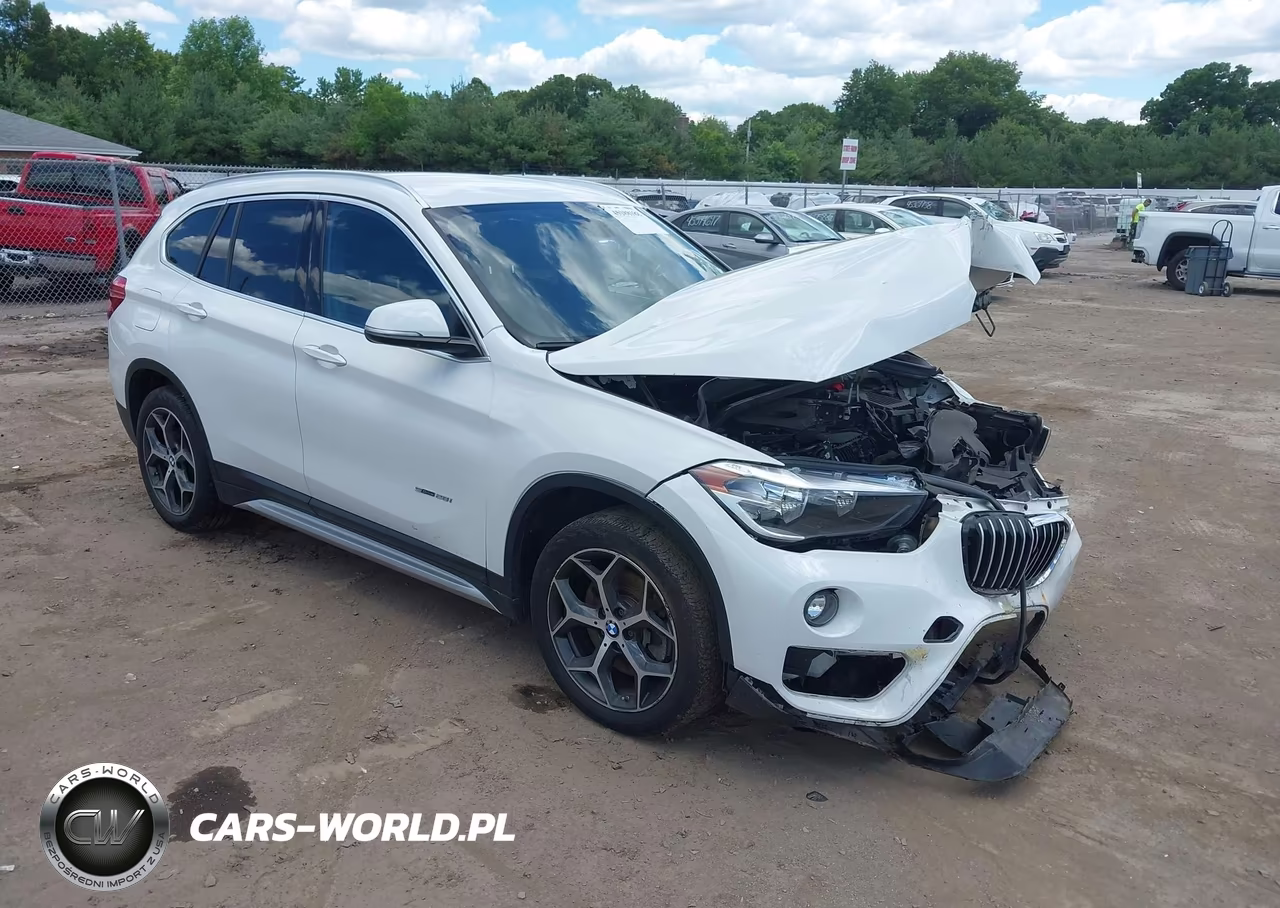 2018 BMW X1 Sdrive28I VIN:WBXHU7C33J5L05313 - 1
