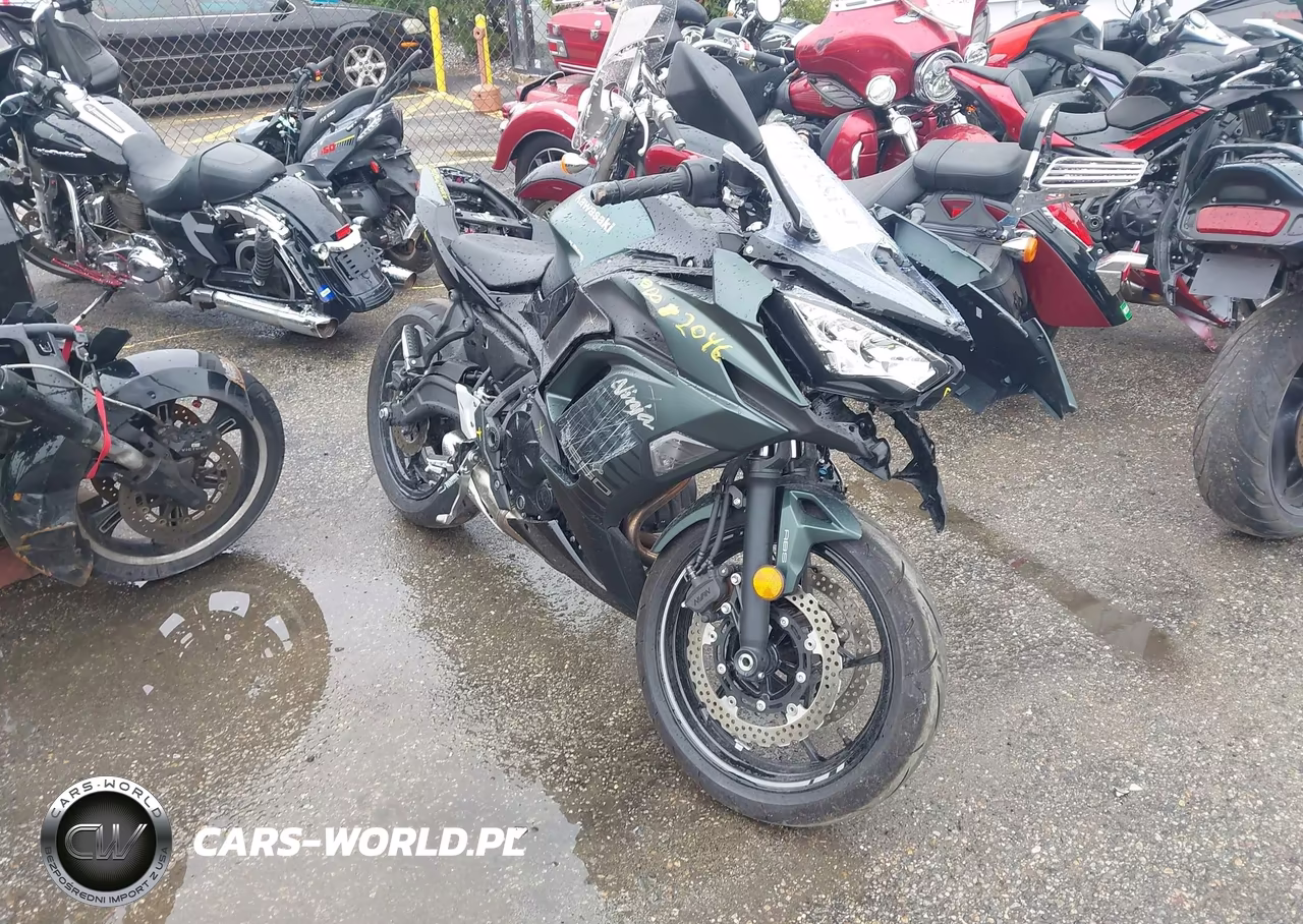2025 Kawasaki Ex650 P – zdjęcie 1 z 12