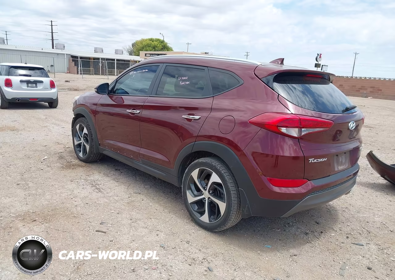 2016 Hyundai Tucson Limited VIN:KM8J33A29GU120746 - 3