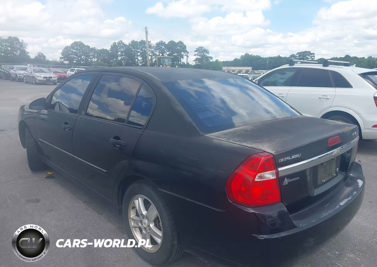 2006 Chevrolet Malibu Lt VIN:1G1ZT51806F254550 - 3