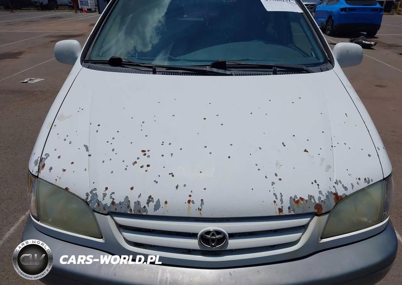 2002 Toyota Sienna Le VIN:4T3ZF13C12U452393 - 6