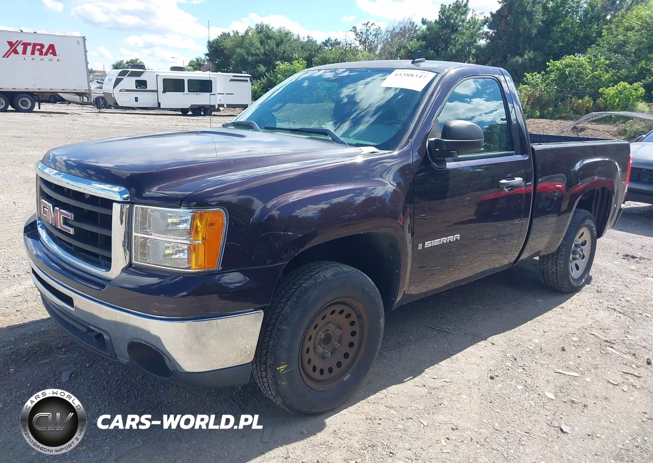 2009 GMC Sierra 1500 Work Truck VIN:1GTEC14X49Z218168 - 2
