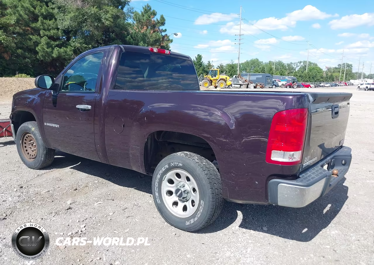 2009 GMC Sierra 1500 Work Truck VIN:1GTEC14X49Z218168 - 3
