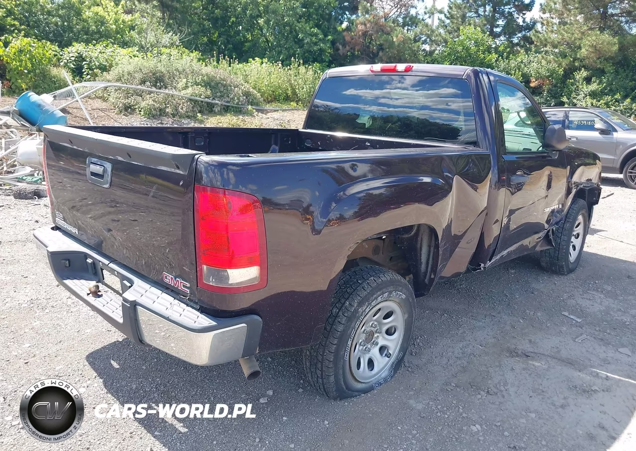2009 GMC Sierra 1500 Work Truck VIN:1GTEC14X49Z218168 - 4