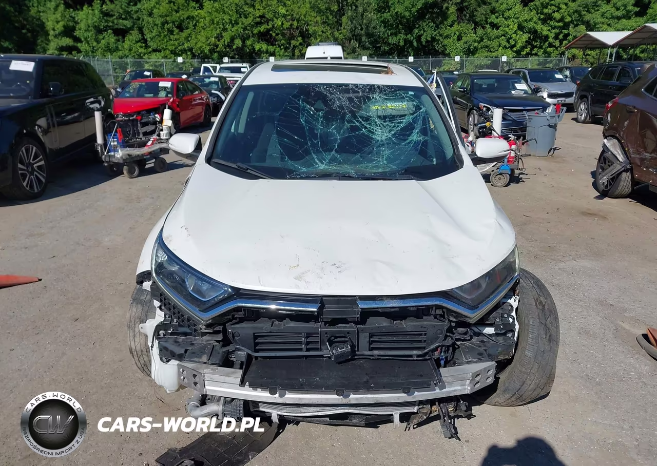 2020 Honda Cr-V 2Wd Ex VIN:2HKRW1H58LH405459 - 12
