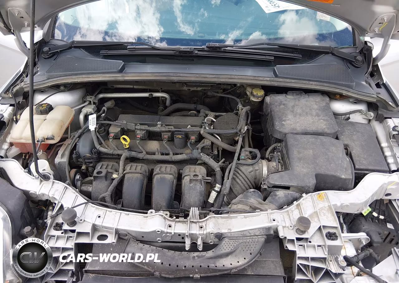 2014 Ford Focus Se VIN:1FADP3K20EL441524 - 10