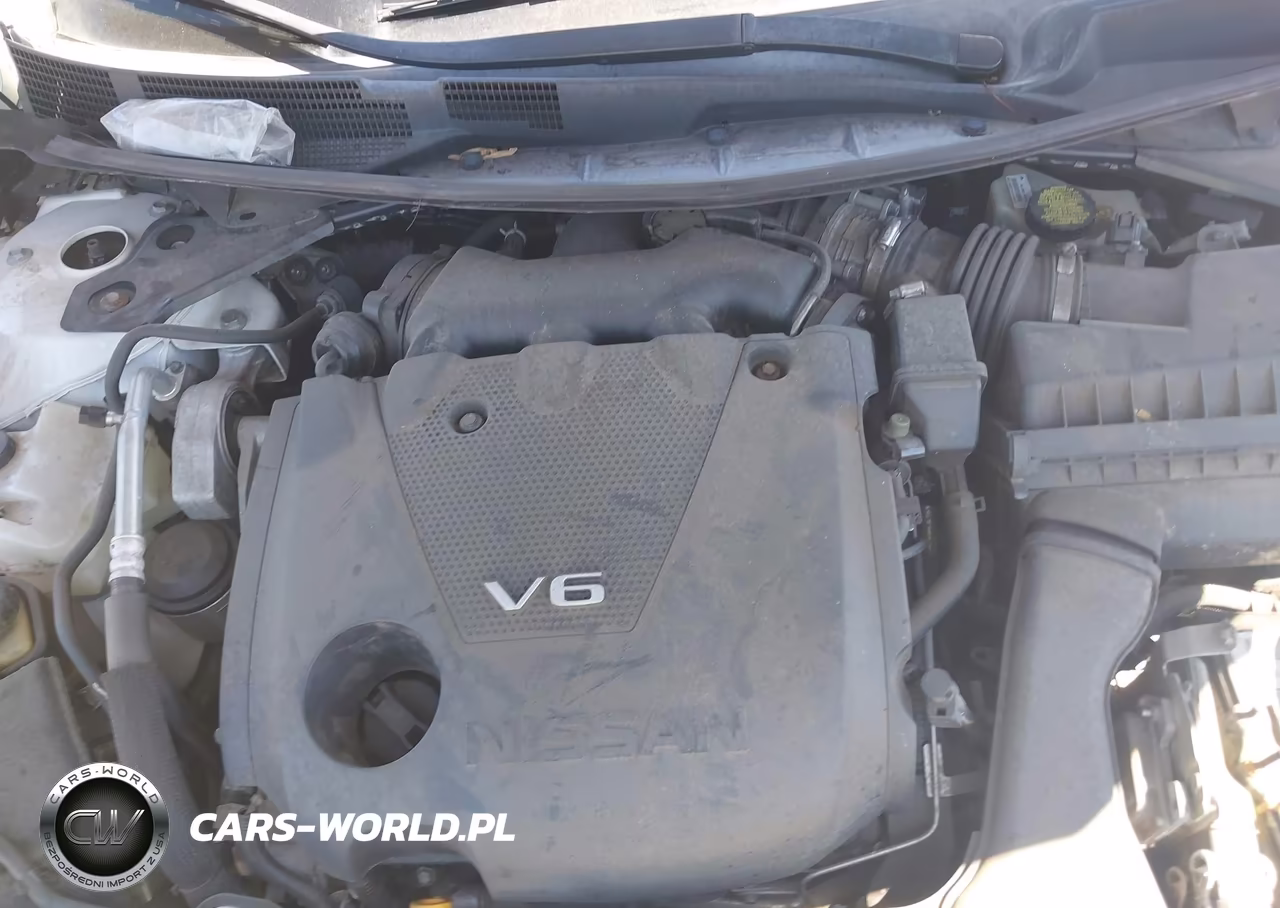 2016 Nissan Maxima 3.5 Sl VIN:1N4AA6AP4GC448966 - 10