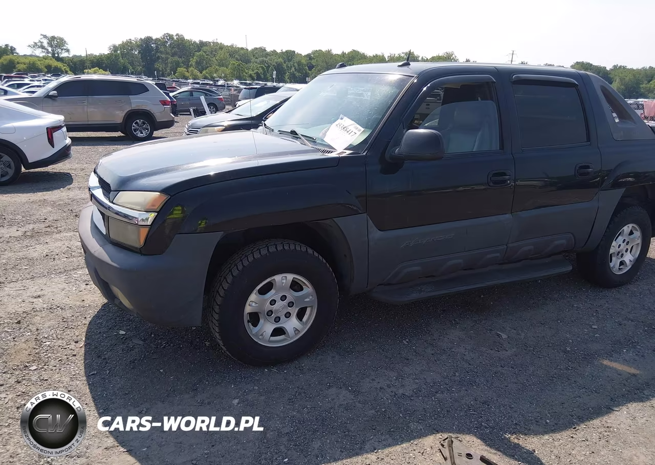 2004 Chevrolet Avalanche 1500 VIN:3GNEK12T44G336725 - 2