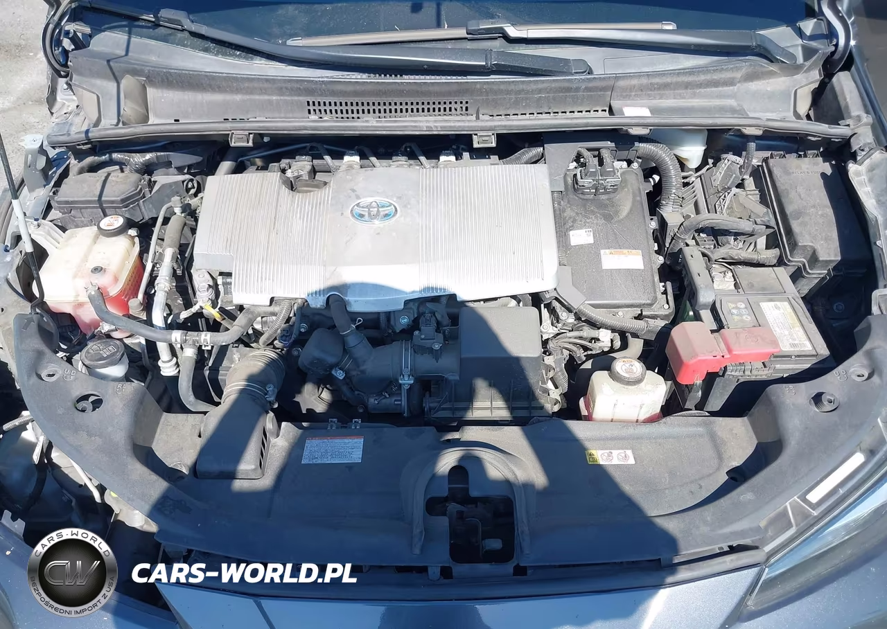 2019 Toyota Prius Xle VIN:JTDKARFU2K3090712 - 10