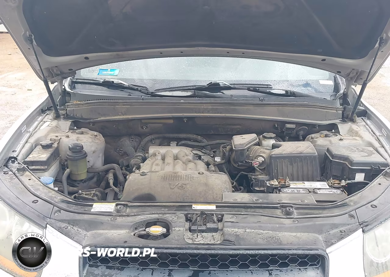 2009 Hyundai Santa Fe Gls VIN:5NMSG13D19H230006 - 10