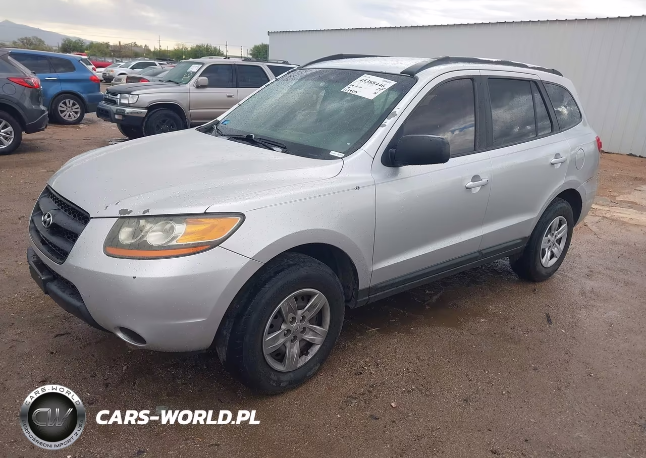 2009 Hyundai Santa Fe Gls VIN:5NMSG13D19H230006 - 2