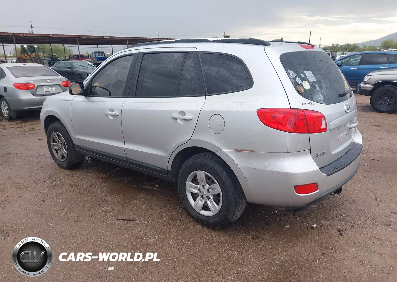 2009 Hyundai Santa Fe Gls VIN:5NMSG13D19H230006 - 3