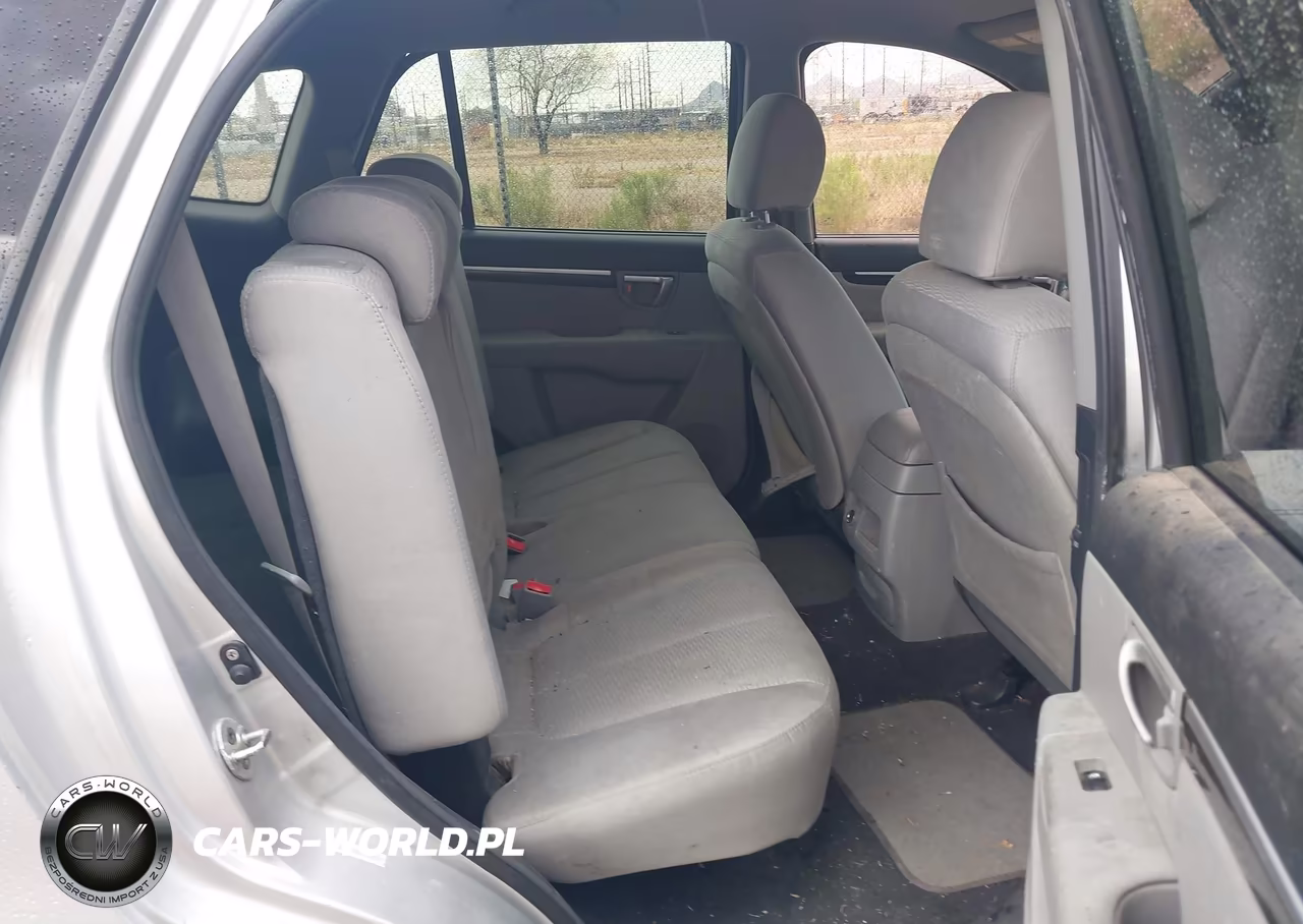 2009 Hyundai Santa Fe Gls VIN:5NMSG13D19H230006 - 8
