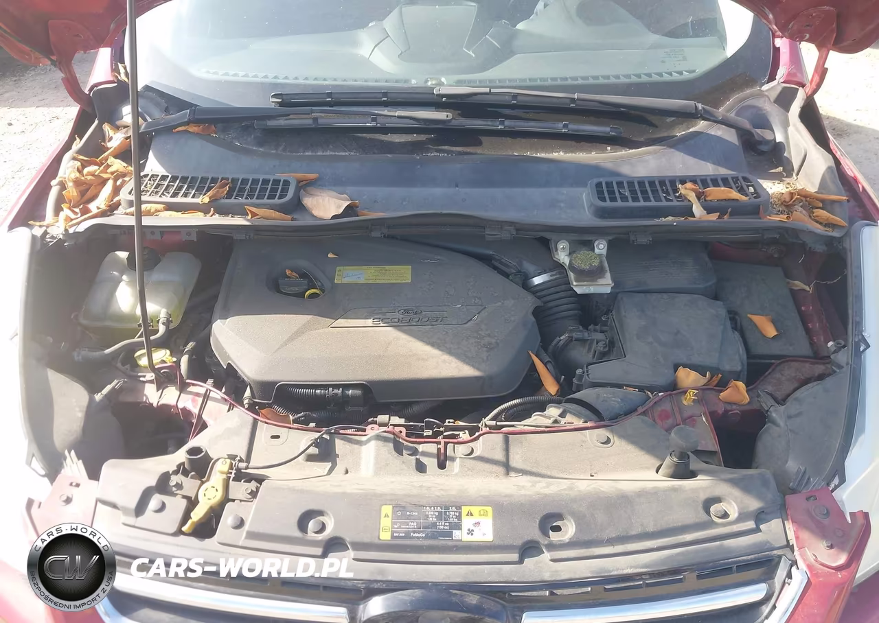 2013 Ford Escape Sel VIN:1FMCU0HX8DUC55217 - 10