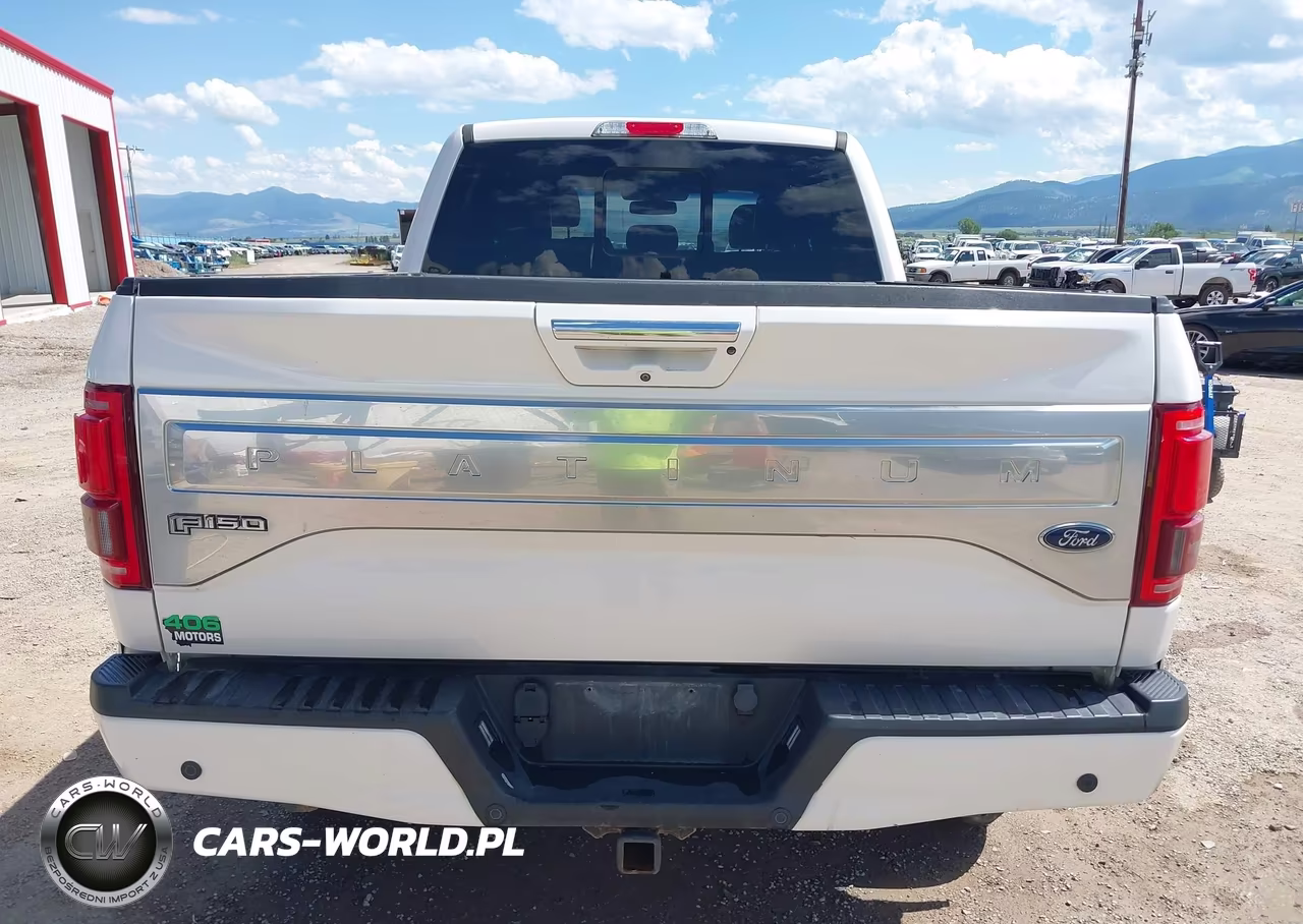 2017 Ford F-150 Platinum VIN:1FTFW1EG0HFC25595 - 16
