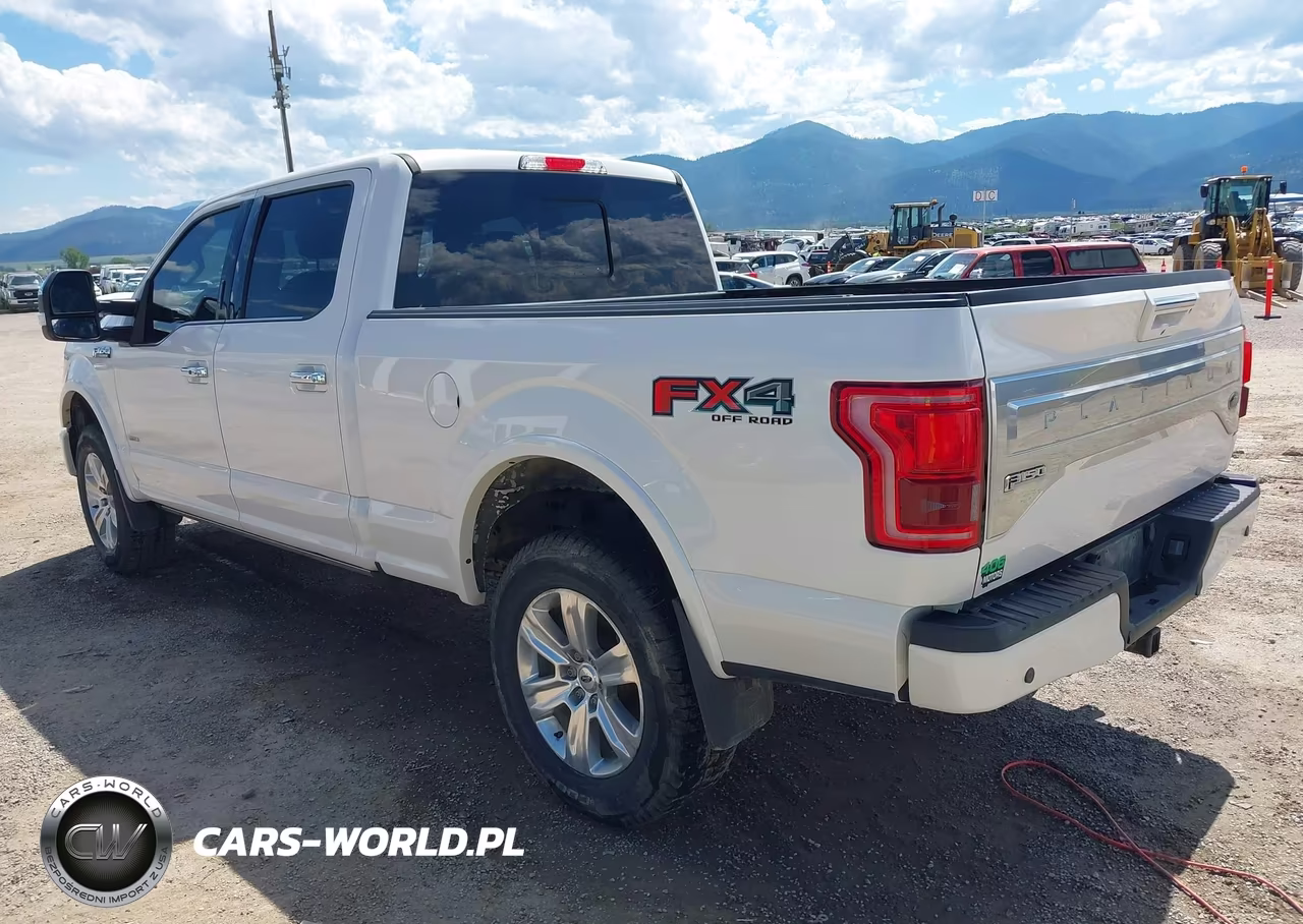 2017 Ford F-150 Platinum VIN:1FTFW1EG0HFC25595 - 3