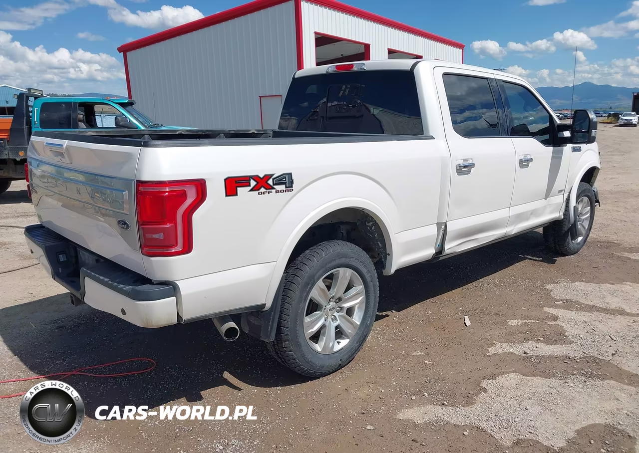 2017 Ford F-150 Platinum VIN:1FTFW1EG0HFC25595 - 4