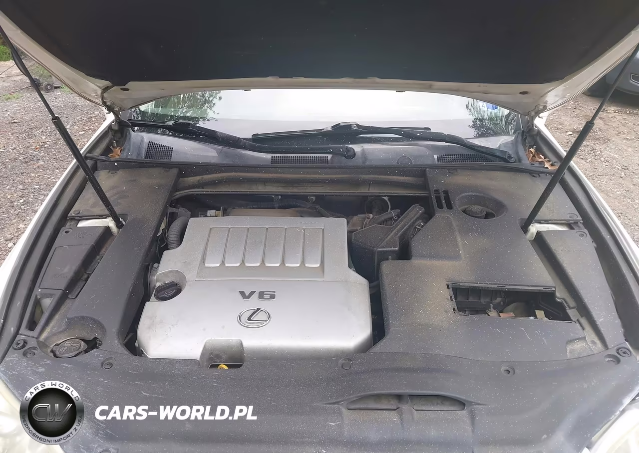 2009 Lexus Es 350 VIN:JTHBJ46G492333786 - 10