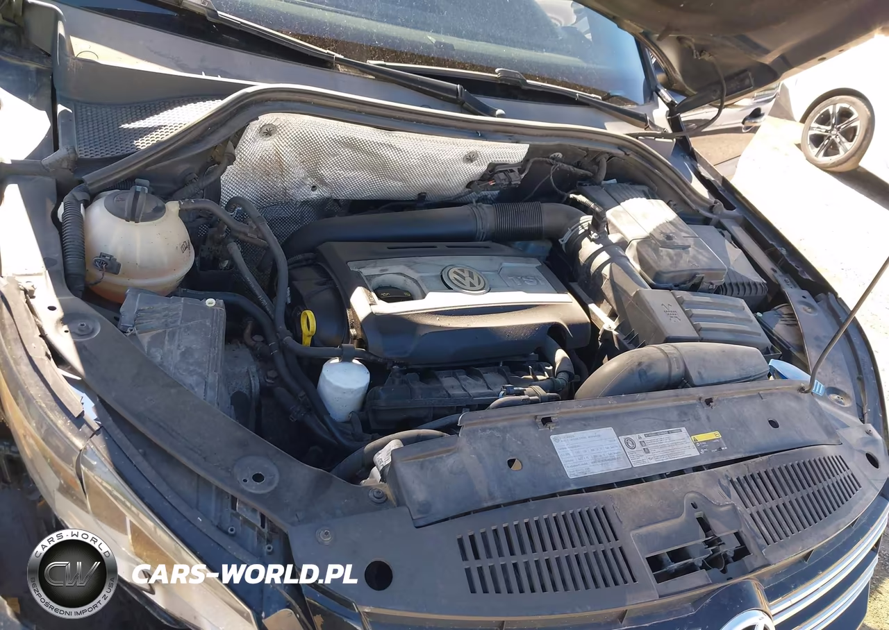 2014 Volkswagen Tiguan R-Line VIN:WVGBV3AX5EW099793 - 10
