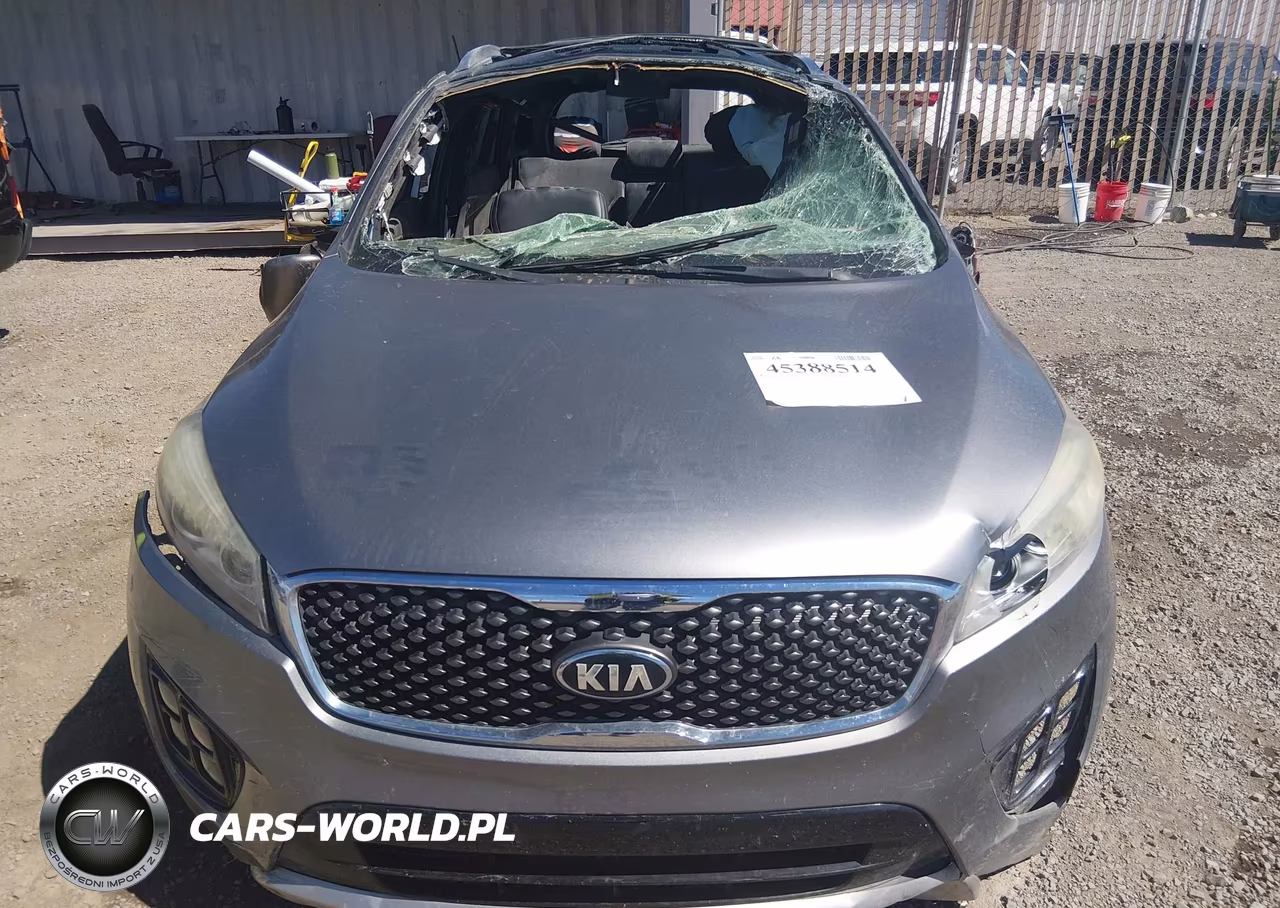 2016 Kia Sorento 2.0T Sxl VIN:5XYPKDA17GG019513 - 12