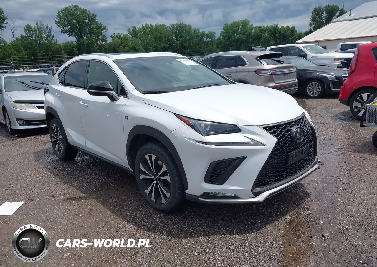 2019 Lexus Nx 300 F Sport