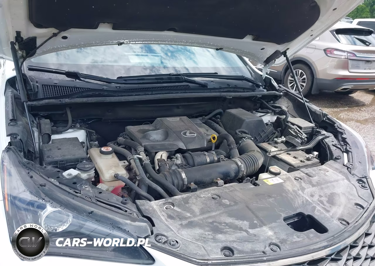 2019 Lexus Nx 300 F Sport VIN:JTJBARBZ3K2179113 - 10