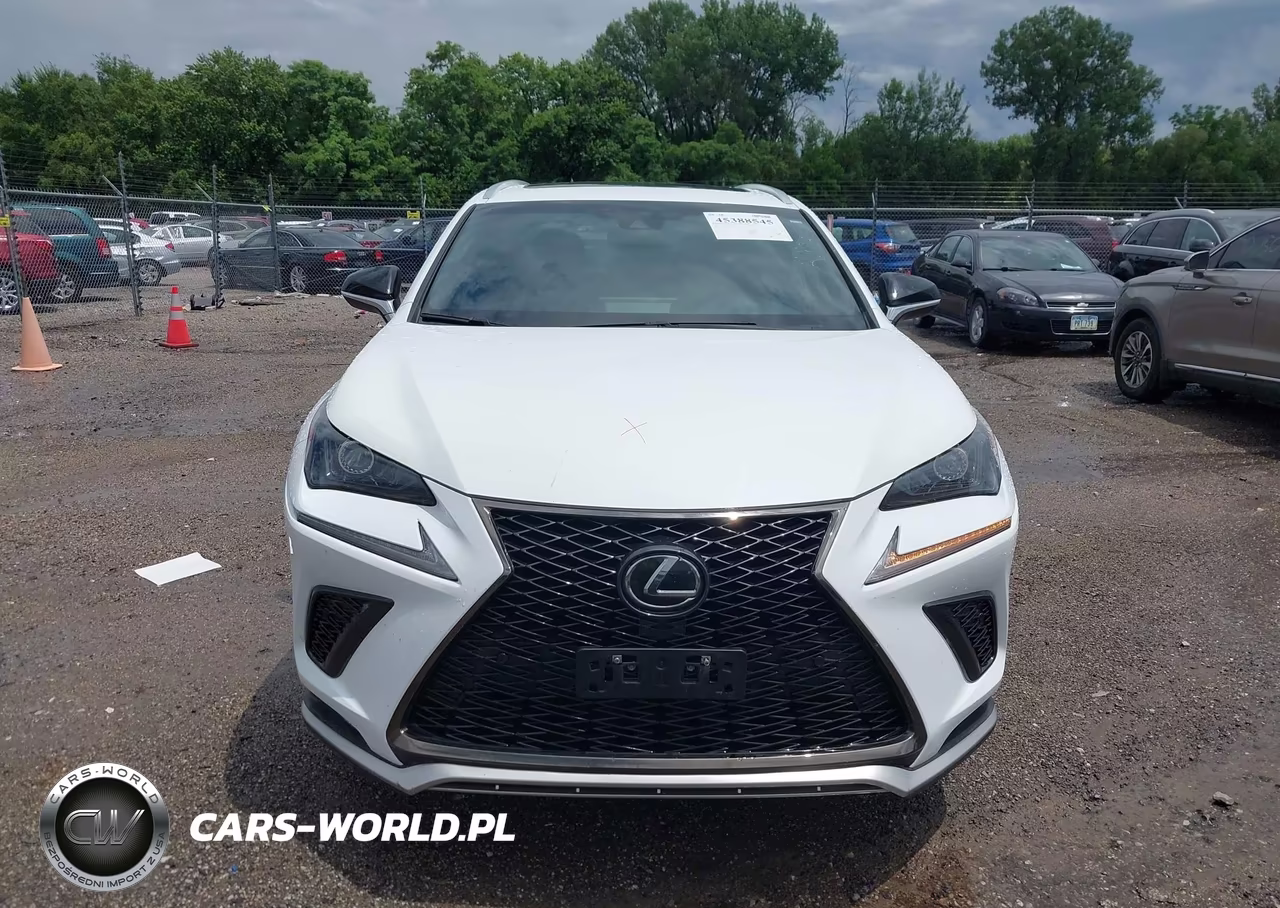 2019 Lexus Nx 300 F Sport VIN:JTJBARBZ3K2179113 - 12