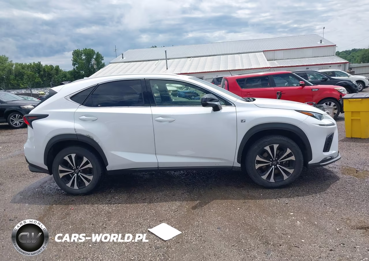 2019 Lexus Nx 300 F Sport VIN:JTJBARBZ3K2179113 - 13