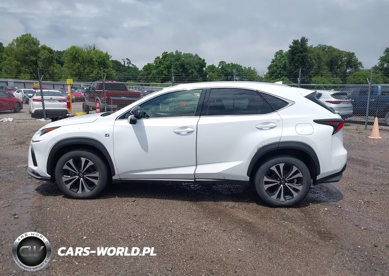 2019 Lexus Nx 300 F Sport VIN:JTJBARBZ3K2179113 - 14