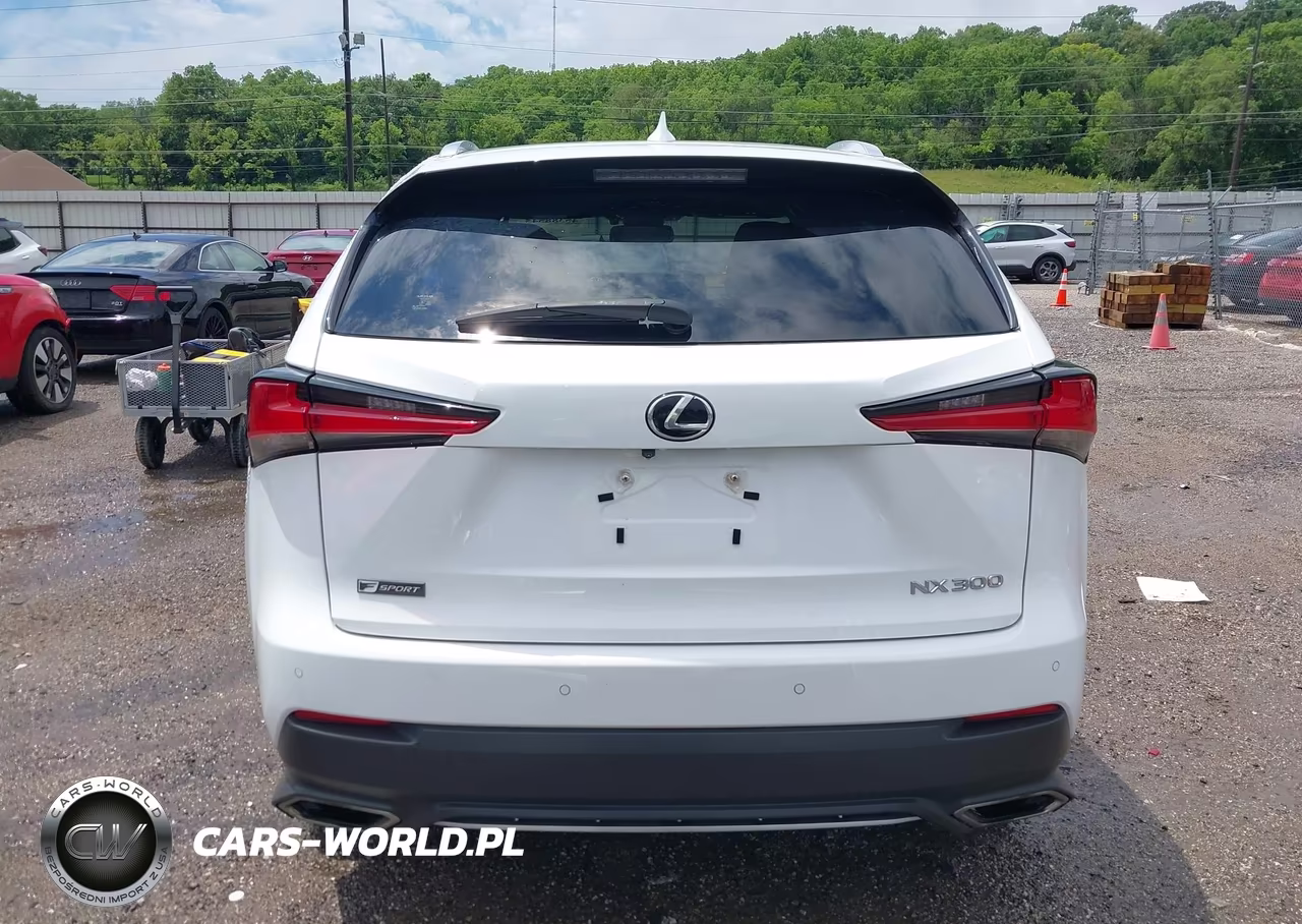 2019 Lexus Nx 300 F Sport VIN:JTJBARBZ3K2179113 - 16