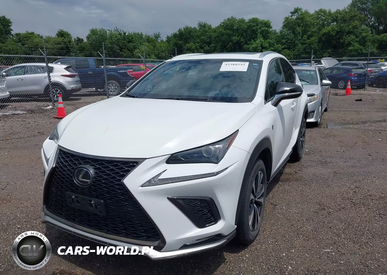 2019 Lexus Nx 300 F Sport VIN:JTJBARBZ3K2179113 - 2