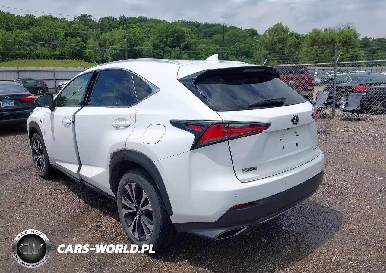 2019 Lexus Nx 300 F Sport VIN:JTJBARBZ3K2179113 - 3
