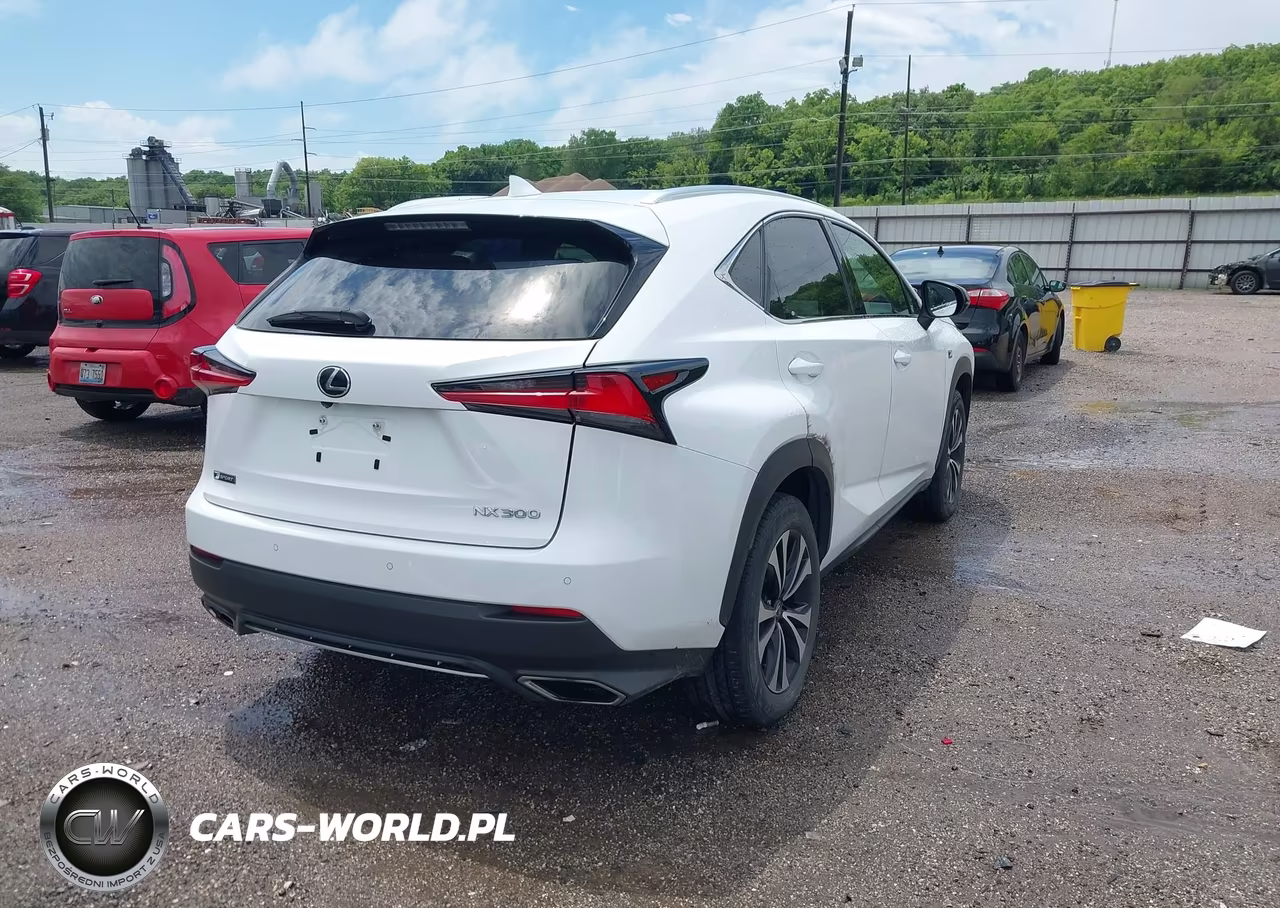2019 Lexus Nx 300 F Sport VIN:JTJBARBZ3K2179113 - 4