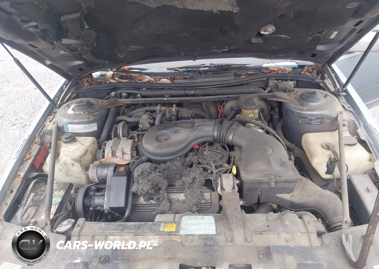 1988 Cadillac Seville VIN:1G6KS5154JU820122 - 10