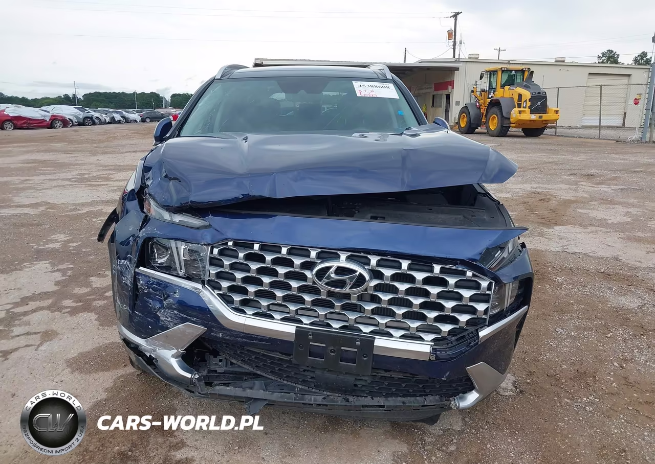 2023 Hyundai Santa Fe Limited VIN:5NMS44AL5PH564959 - 12