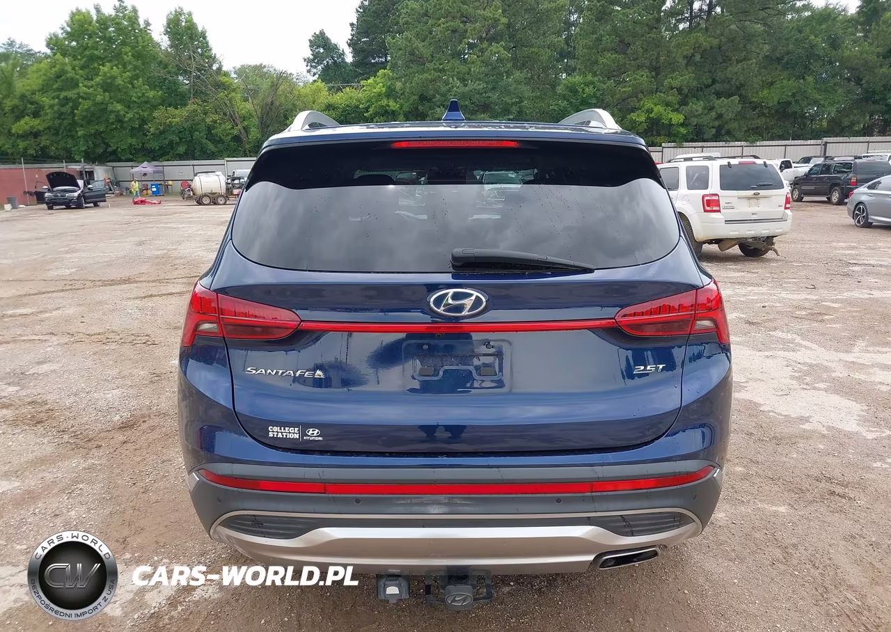 2023 Hyundai Santa Fe Limited VIN:5NMS44AL5PH564959 - 16