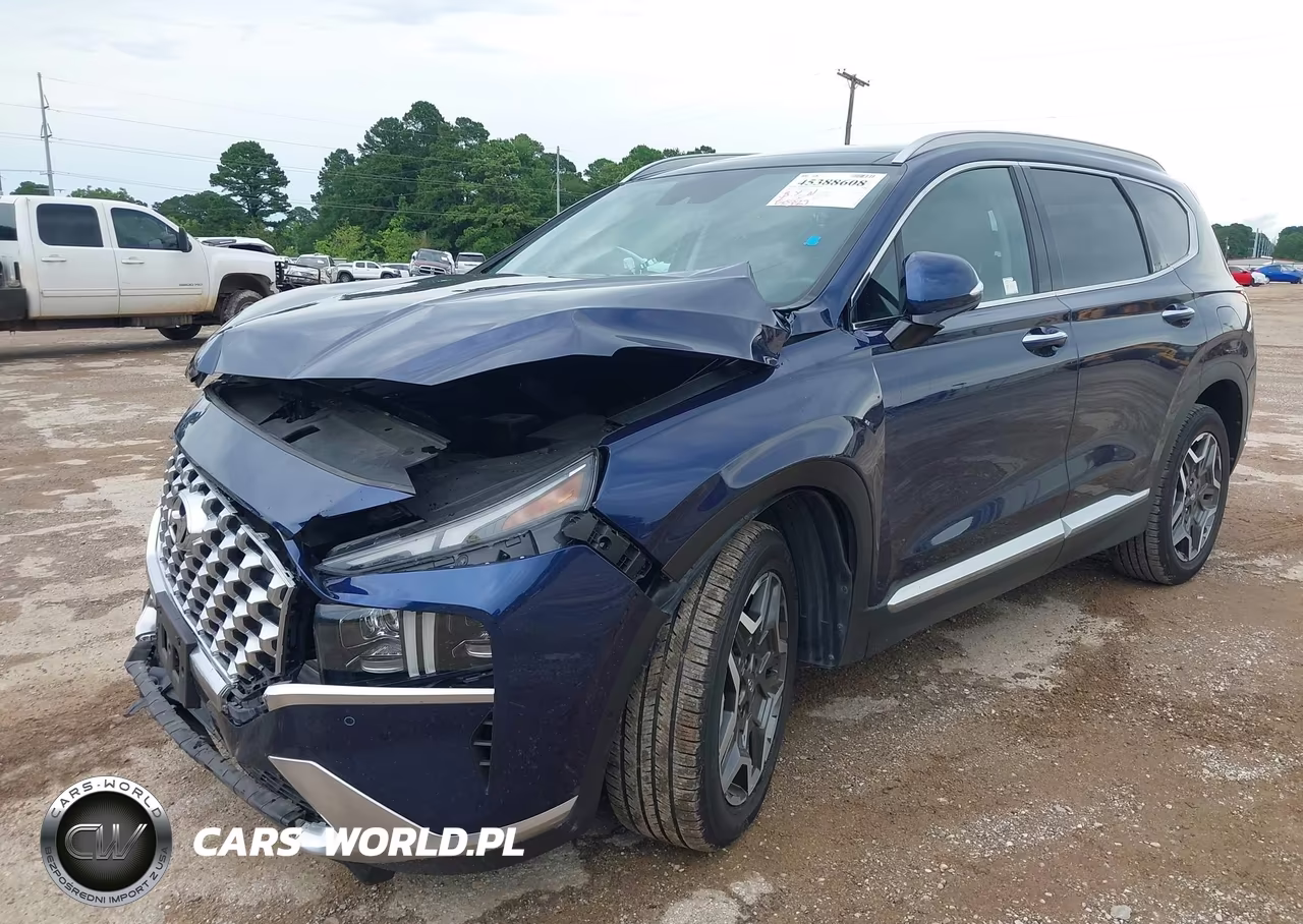 2023 Hyundai Santa Fe Limited VIN:5NMS44AL5PH564959 - 2