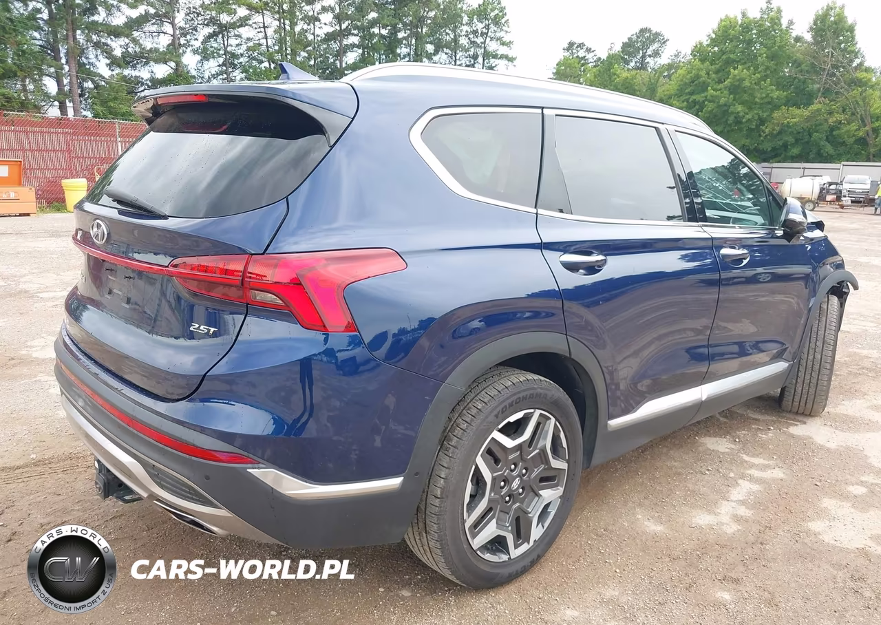 2023 Hyundai Santa Fe Limited VIN:5NMS44AL5PH564959 - 4