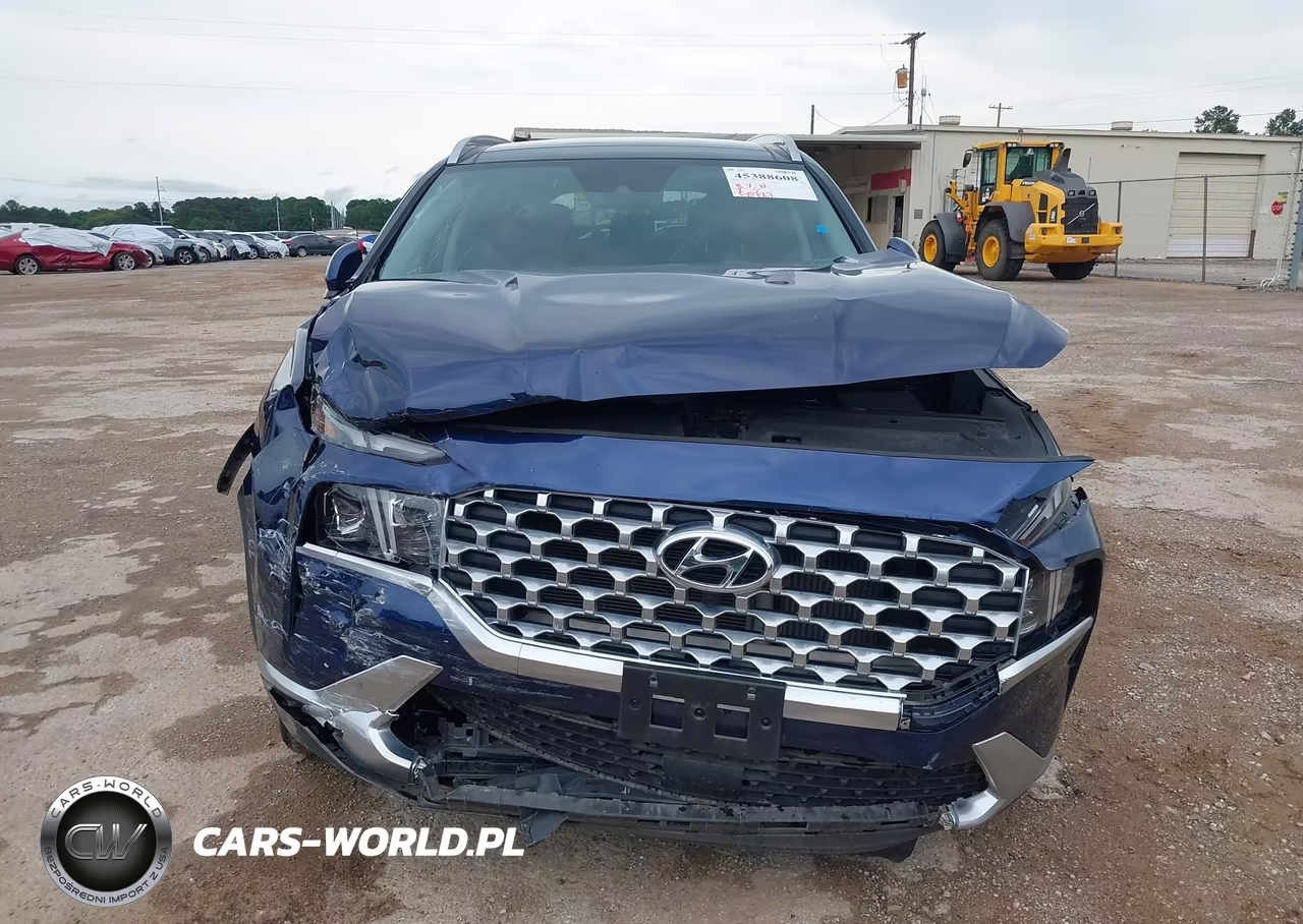 2023 Hyundai Santa Fe Limited VIN:5NMS44AL5PH564959 - 6