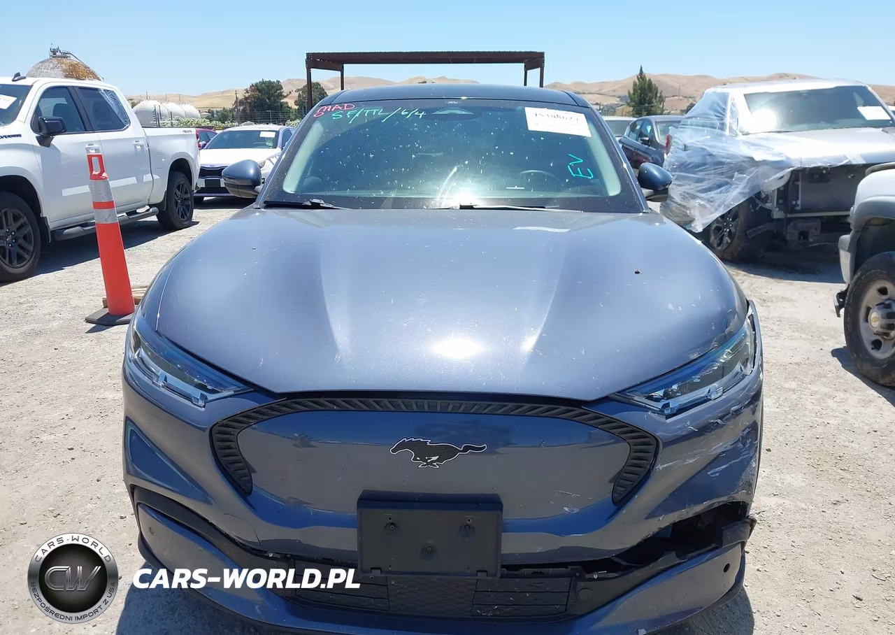 2021 Ford Mustang Mach-E Select VIN:3FMTK1RM0MMA25918 - 12
