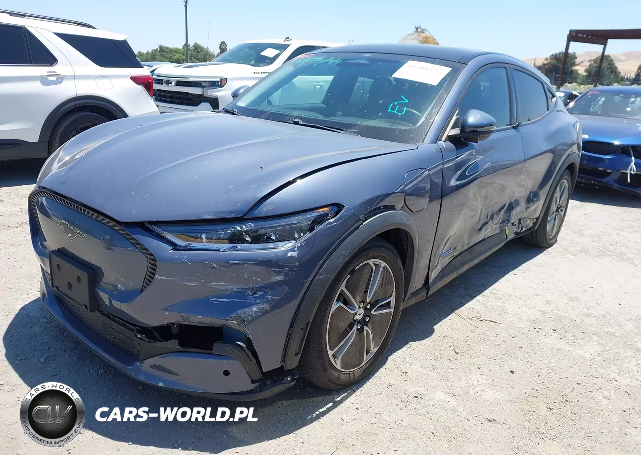 2021 Ford Mustang Mach-E Select VIN:3FMTK1RM0MMA25918 - 2