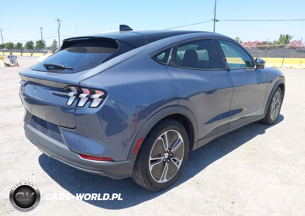 2021 Ford Mustang Mach-E Select VIN:3FMTK1RM0MMA25918 - 4