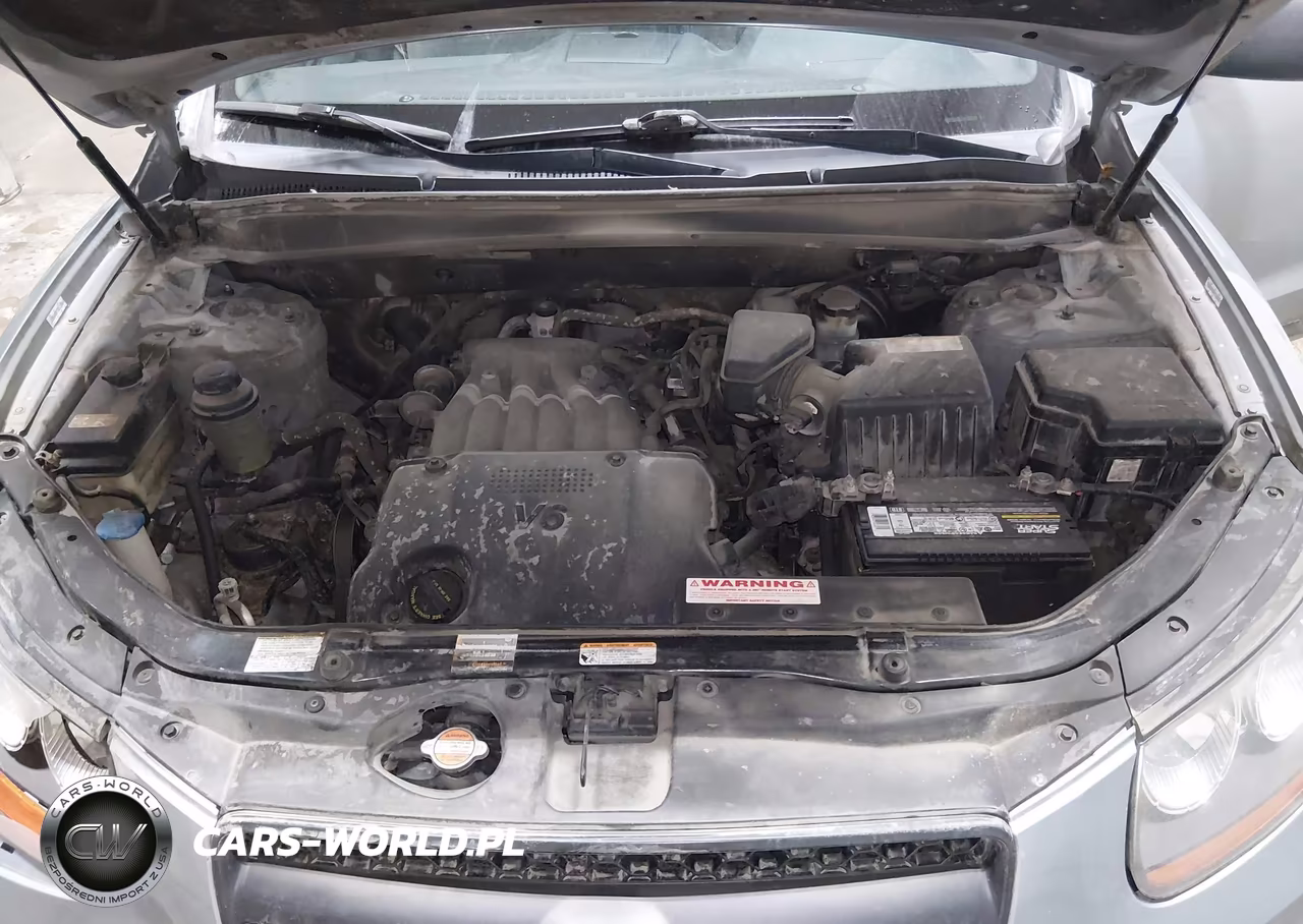 2009 Hyundai Santa Fe Gls VIN:5NMSG73D69H258922 - 10