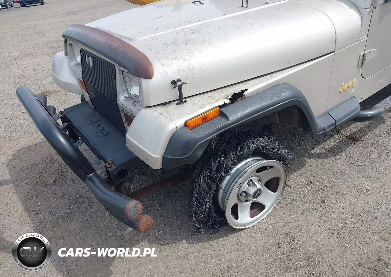 1995 Jeep Wrangler - Yj S-Rio Grande VIN:1J4FY19P3SP236543 - 6