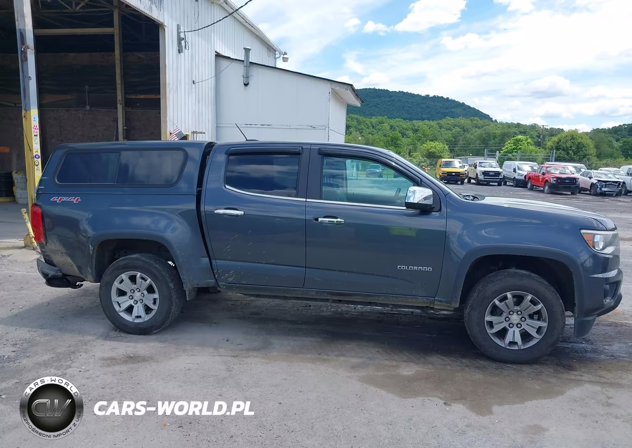 2017 Chevrolet Colorado 4Wd Lt VIN:1GCGTCEN2H1231919 - 13
