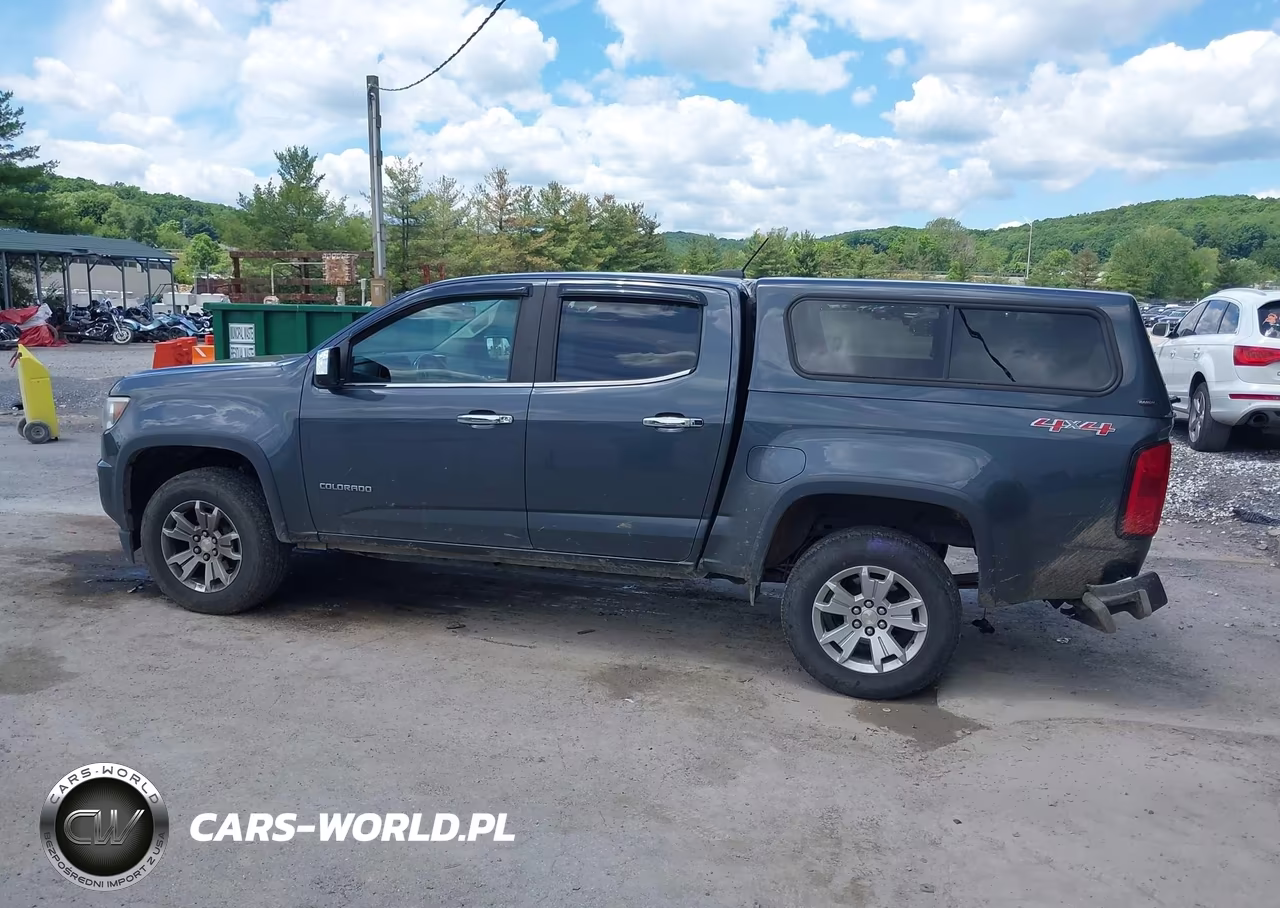 2017 Chevrolet Colorado 4Wd Lt VIN:1GCGTCEN2H1231919 - 14